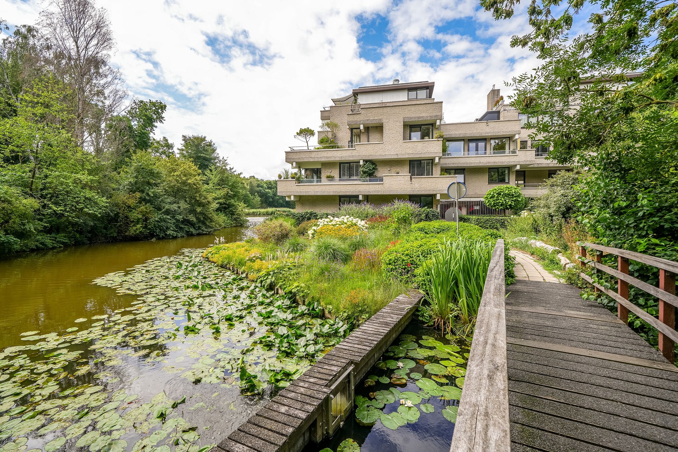 Sterrekinderen erf 55