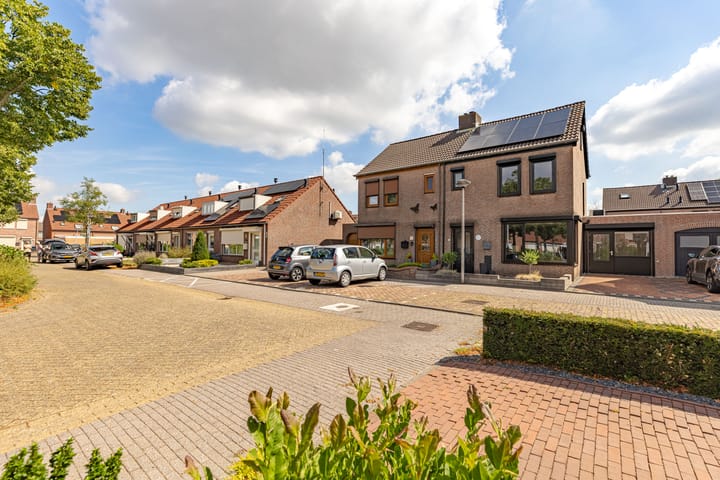 Photo 46 of Elzenrijs 71