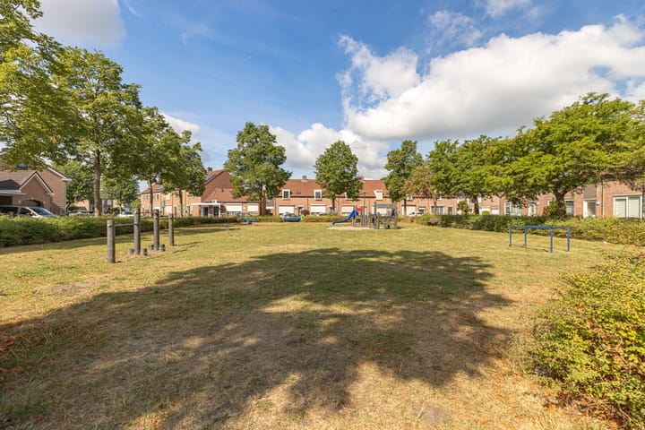 Photo 48 of Elzenrijs 71