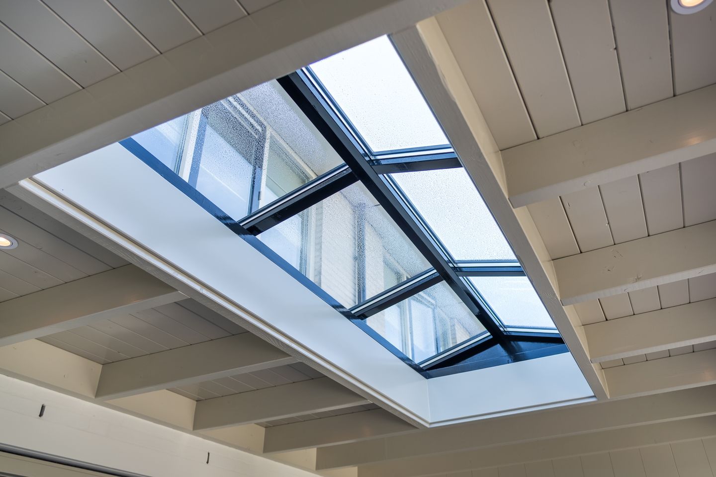 Foto 55 van Donjon 11