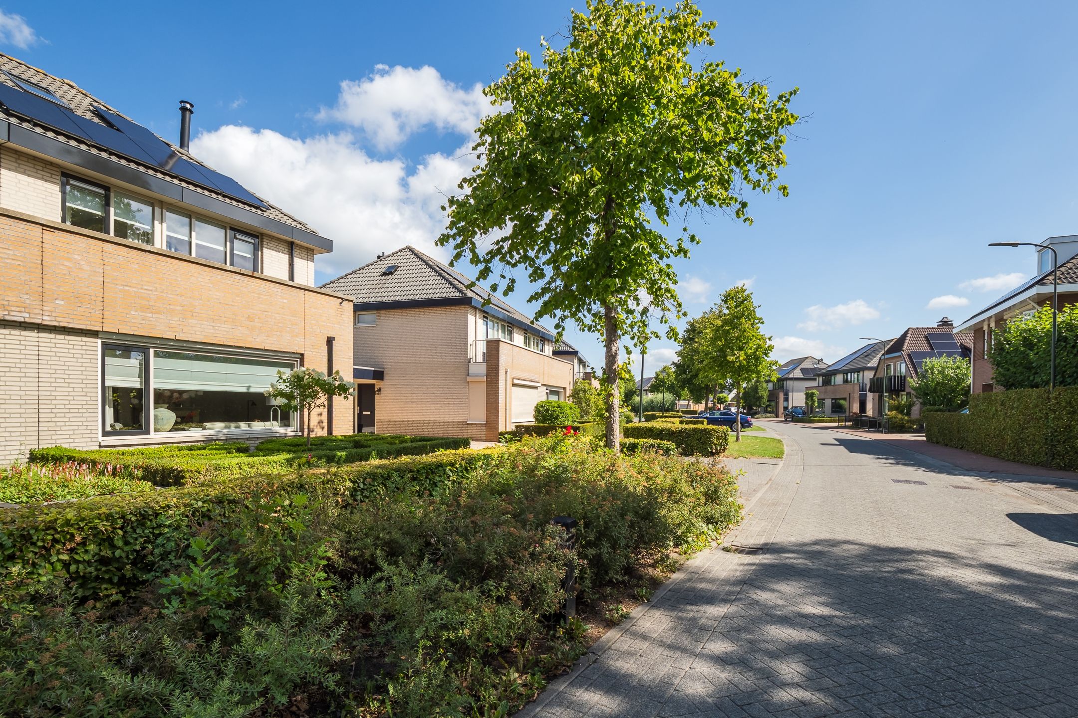 Foto 72 van Donjon 11