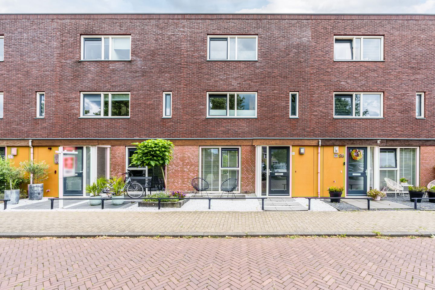 Foto 1 van Citroenvlinder 100