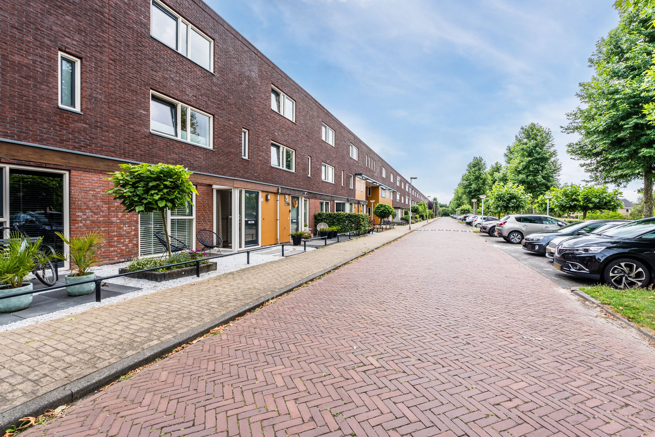 Foto 3 van Citroenvlinder 100