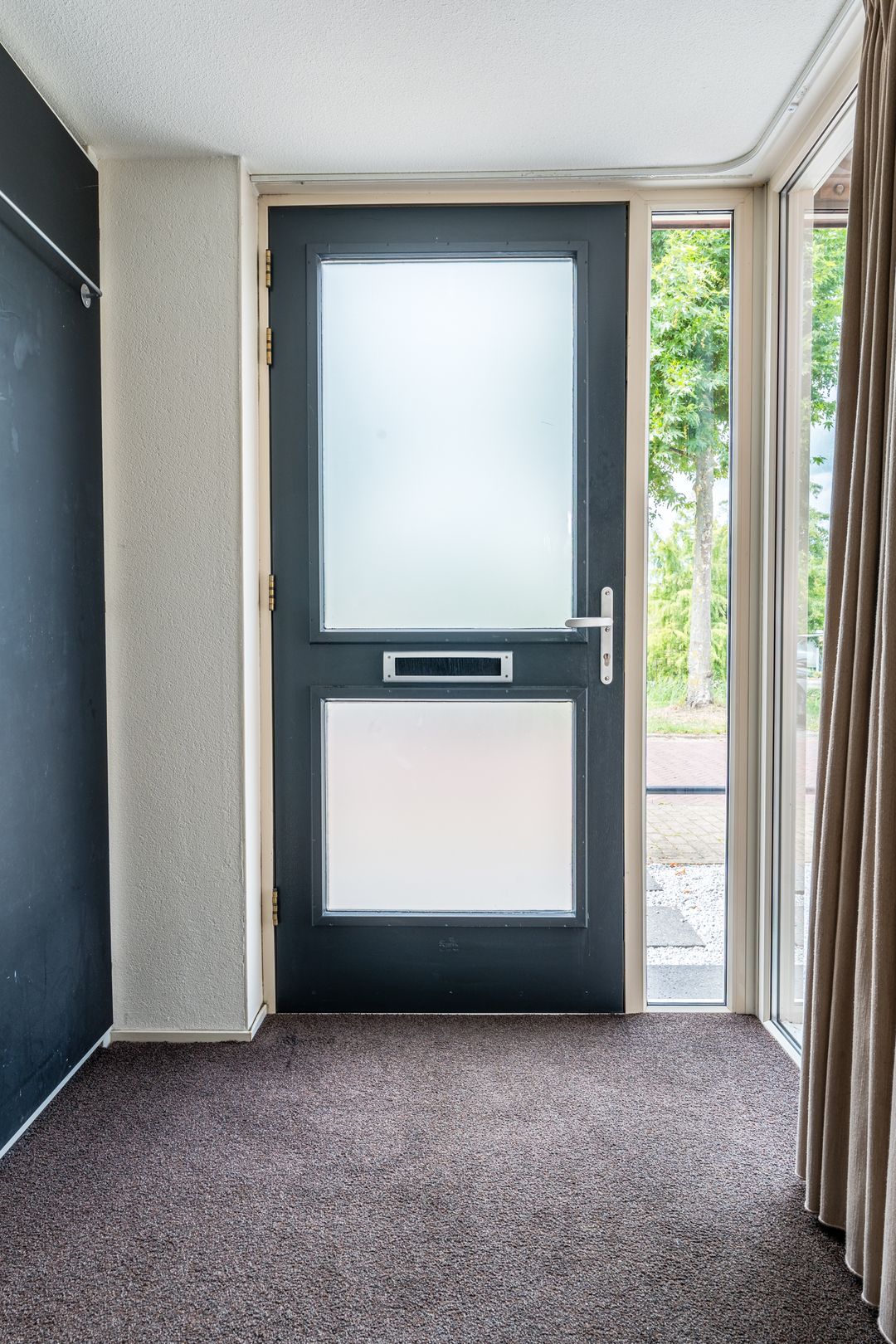 Foto 7 van Citroenvlinder 100