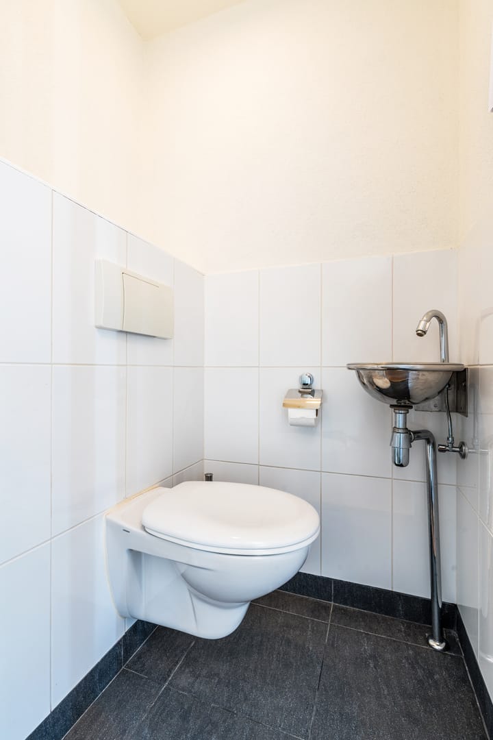 Photo 8 of Citroenvlinder 100