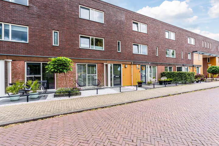 Foto 2 van Citroenvlinder 100