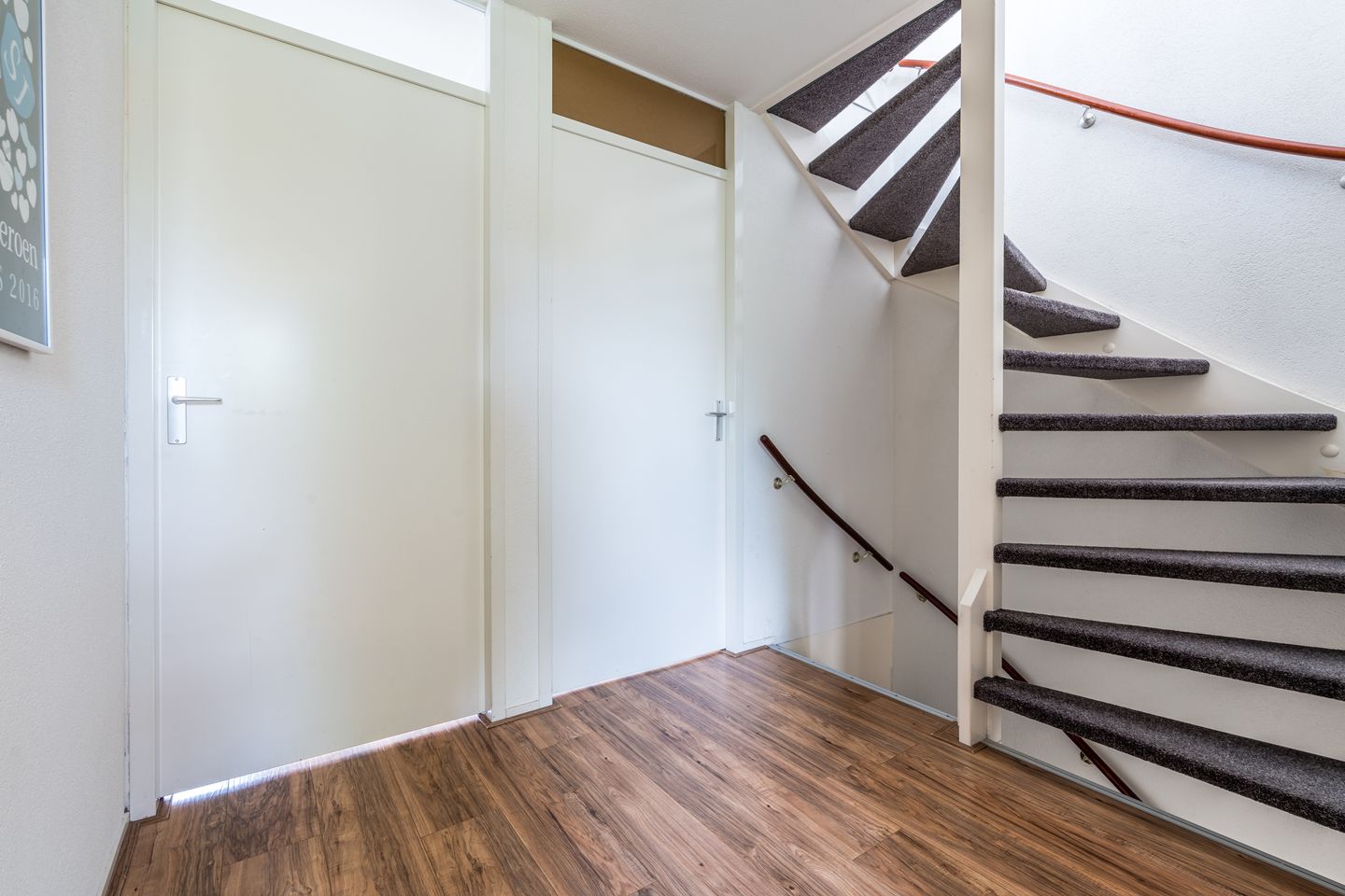 Foto 20 van Citroenvlinder 100