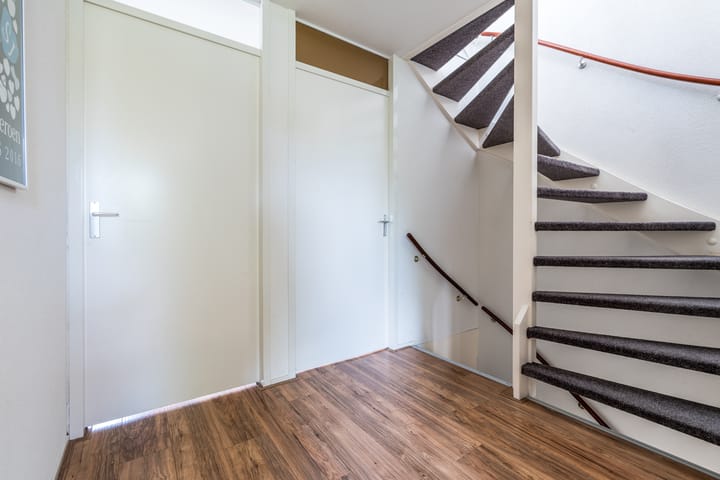 Photo 20 of Citroenvlinder 100