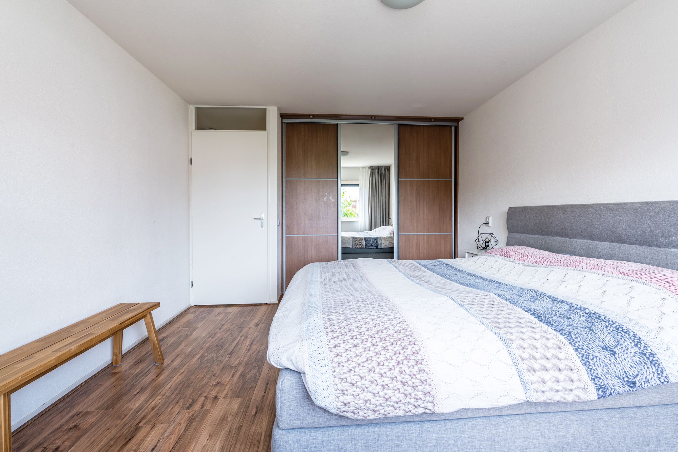 Foto 24 van Citroenvlinder 100