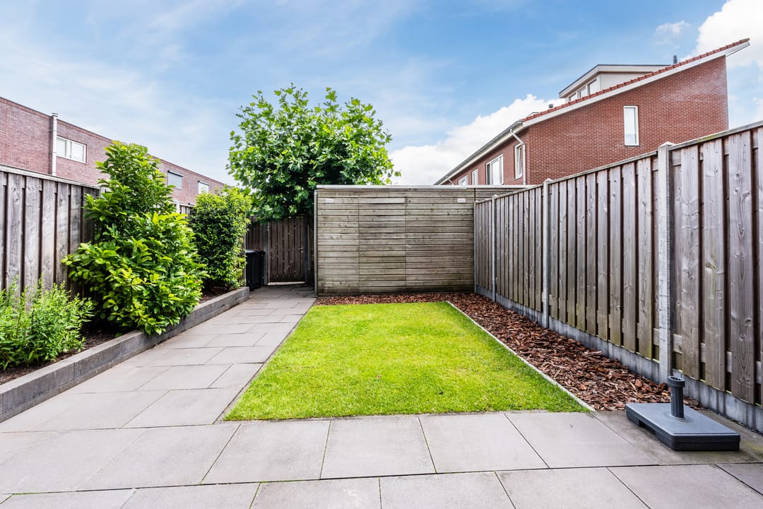 Foto 38 van Citroenvlinder 100