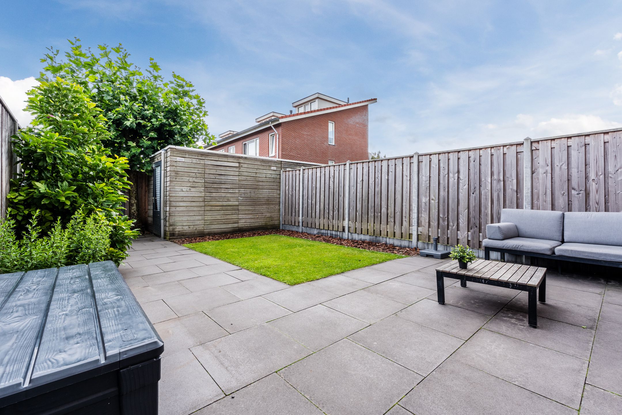 Foto 39 van Citroenvlinder 100