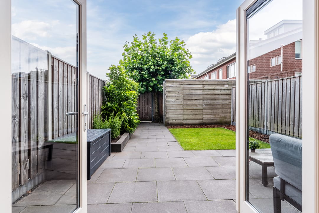 Foto 37 van Citroenvlinder 100