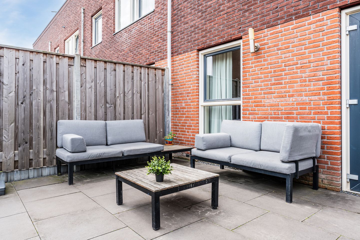 Foto 40 van Citroenvlinder 100