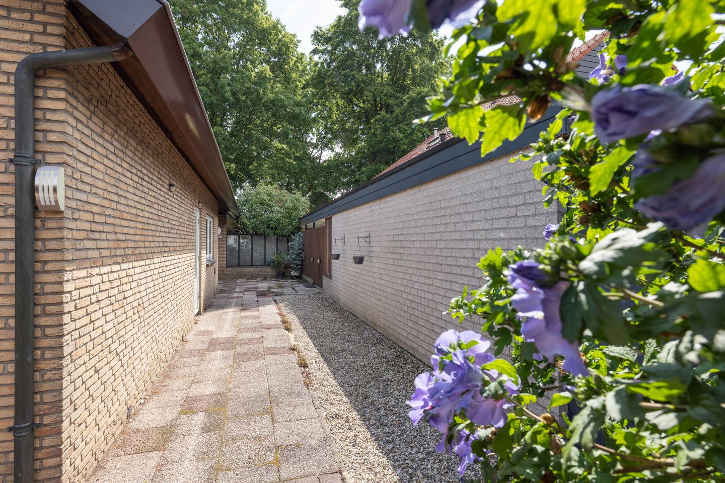 Foto 29 van Pasteurstraat 15