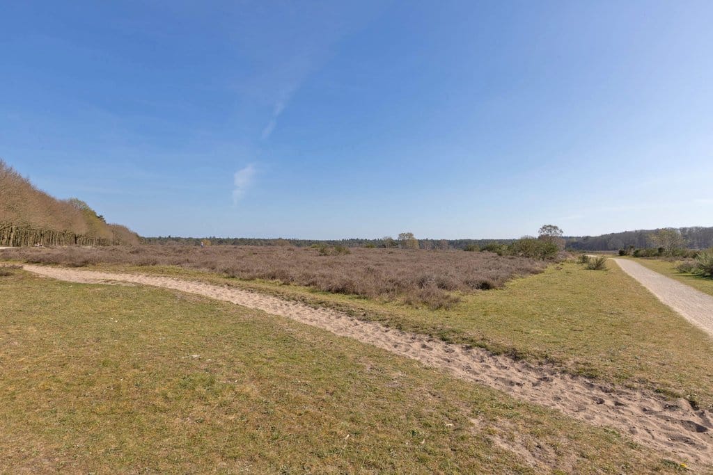 Foto 24 van C. Evertsenstraat 99