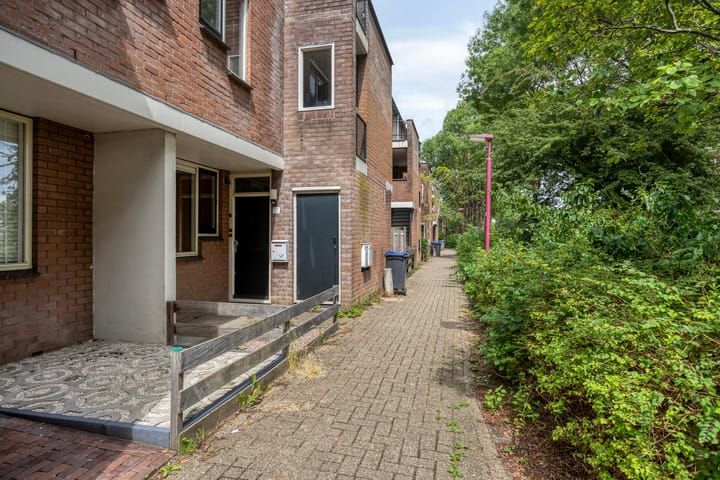 Foto 2 van Druivegaarde 15