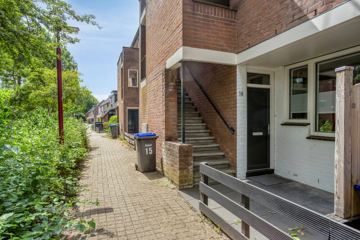 Foto 3 van Druivegaarde 15