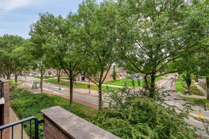 Foto 18 van Druivegaarde 15