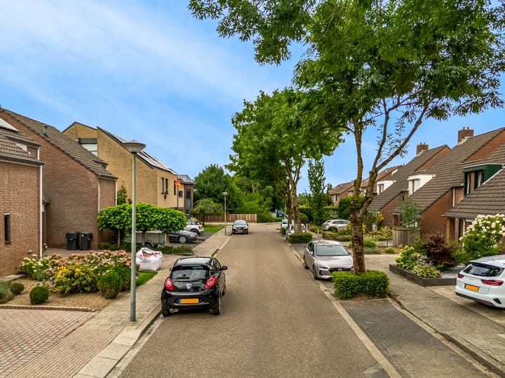 Photo 36 of Op de Aks 7