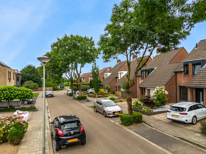 Photo 38 of Op de Aks 7