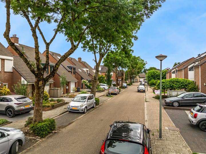 Photo 39 of Op de Aks 7