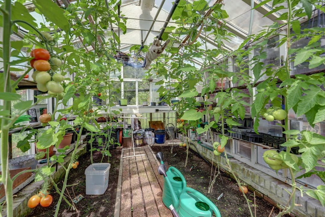 Foto 83 van Nieuwe Mollenhutseweg 26