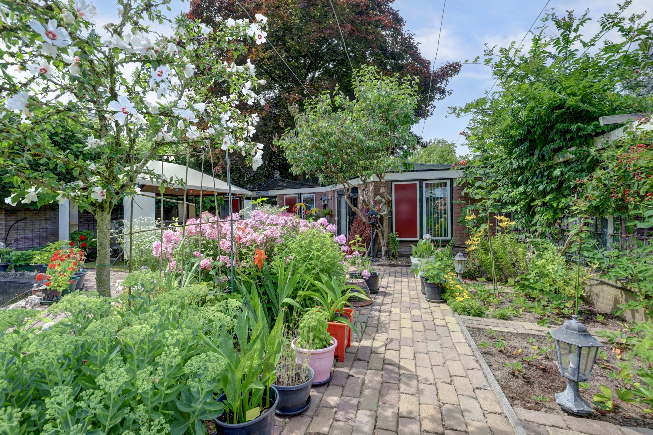 Foto 84 van Nieuwe Mollenhutseweg 26