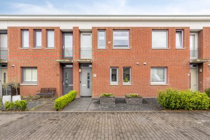 Foto 1 van Havikskruid 15