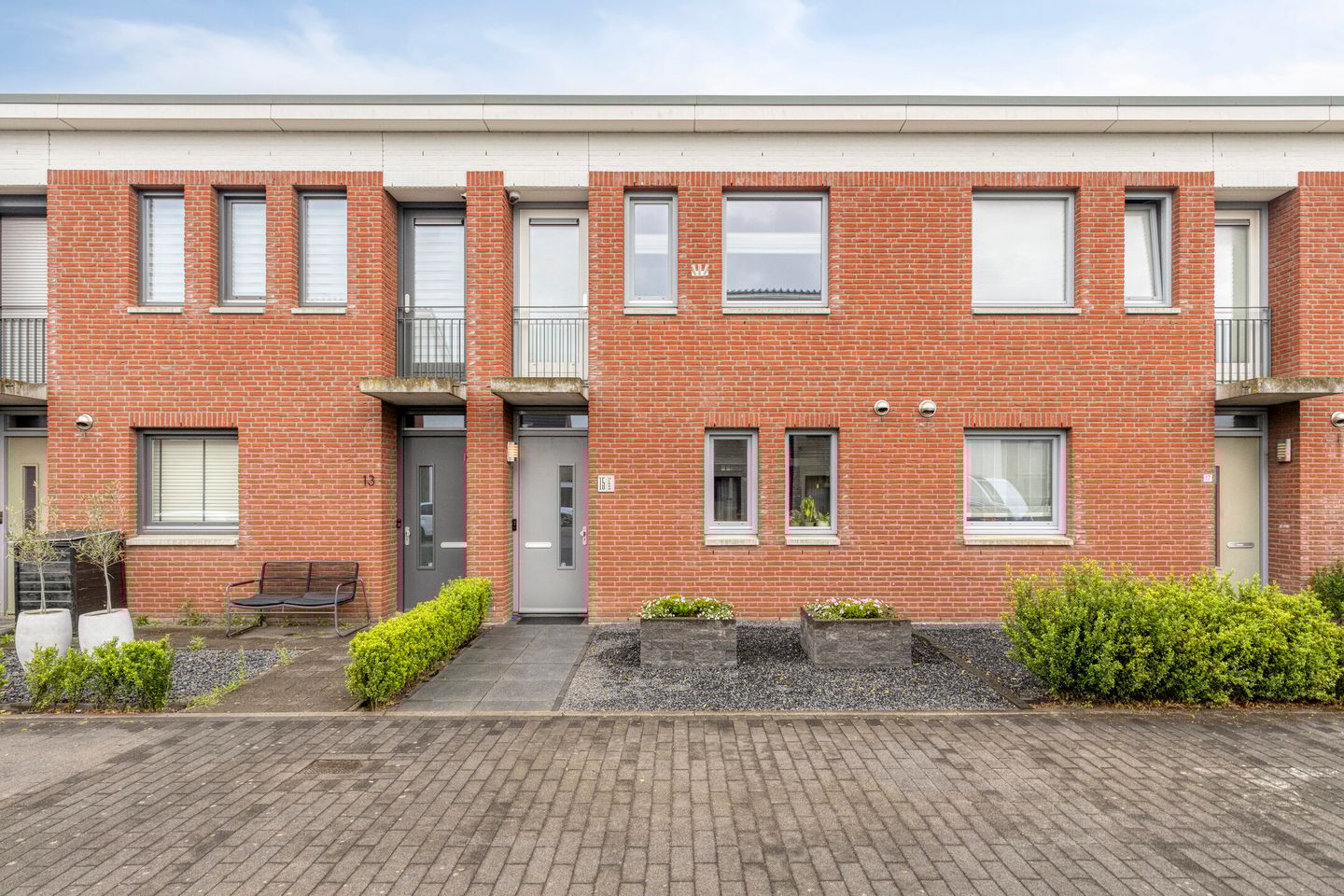 Foto 1 van Havikskruid 15