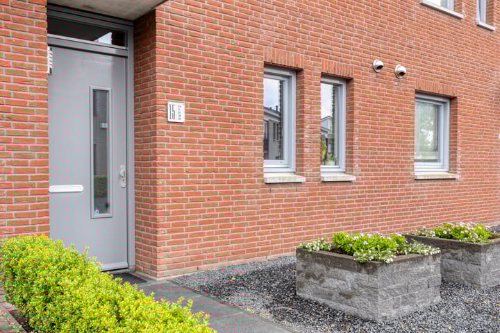 Foto 4 van Havikskruid 15