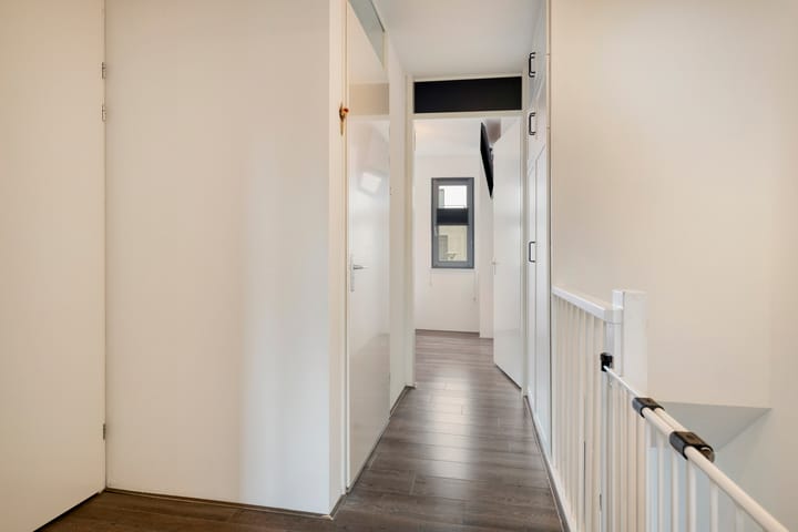 Foto 14 van Havikskruid 15