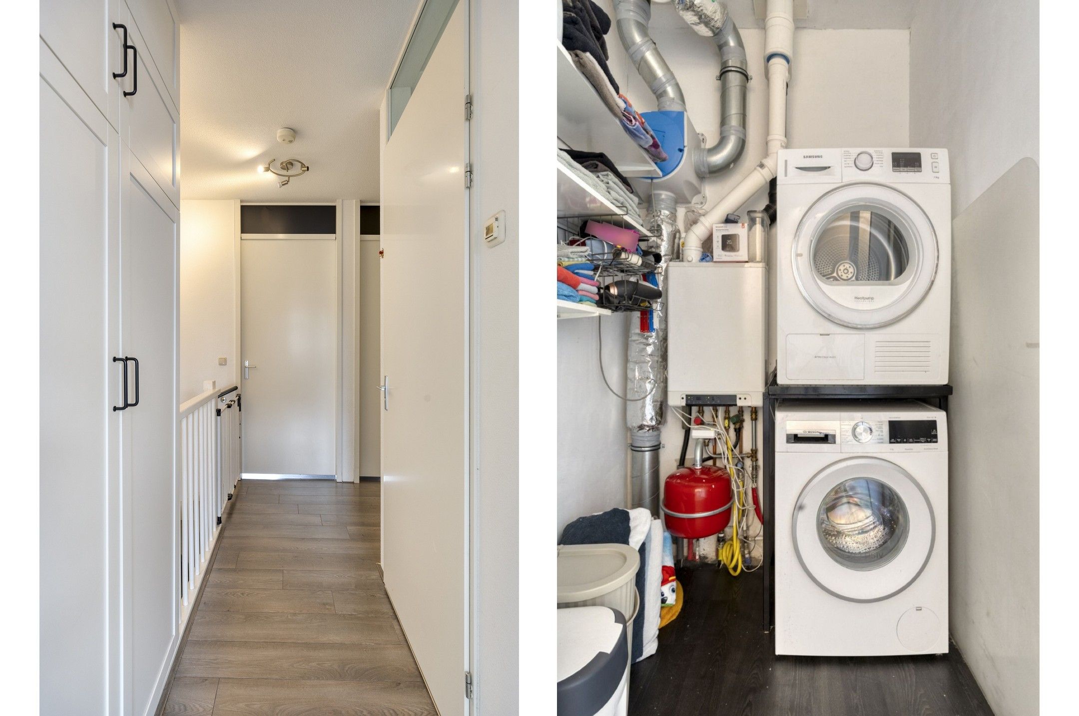 Photo 15 of Havikskruid 15