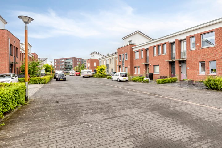 Foto 28 van Havikskruid 15