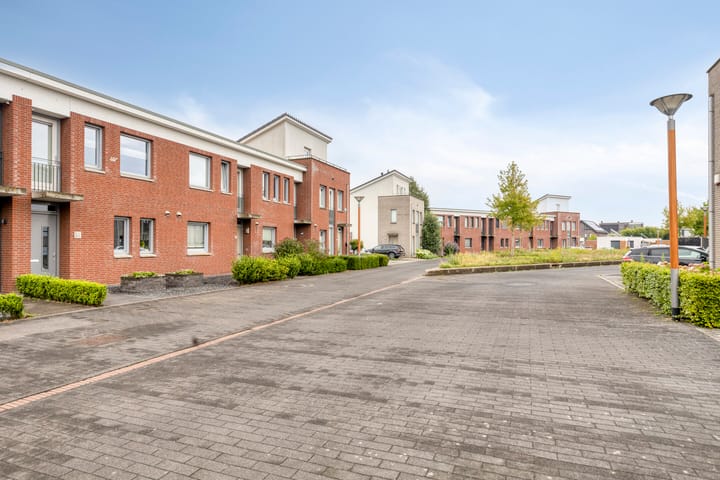 Foto 29 van Havikskruid 15