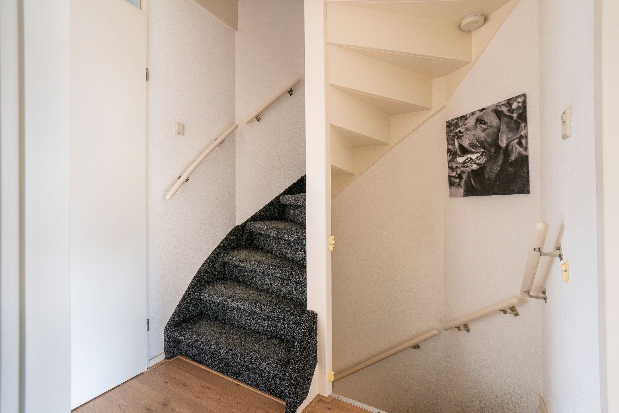 Foto 30 van Troubadour 6