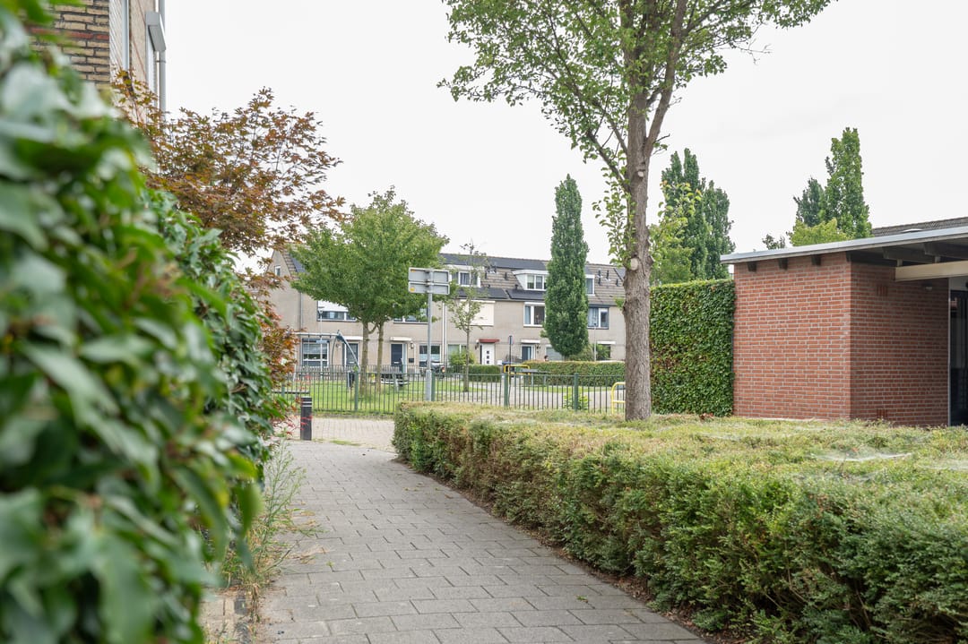 Foto 43 van Troubadour 6