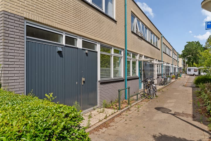 Foto 25 van de Hooidollen 87