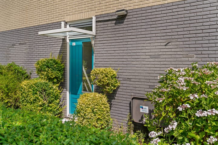 Foto 26 van de Hooidollen 87