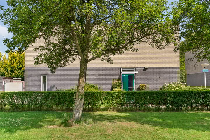 Foto 27 van de Hooidollen 87