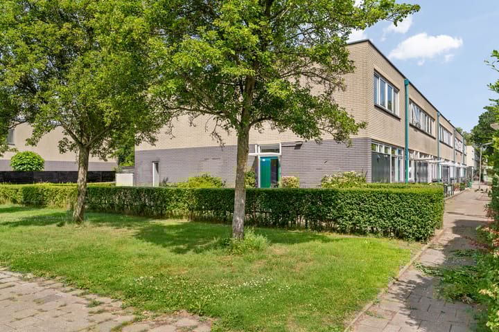 Foto 28 van de Hooidollen 87