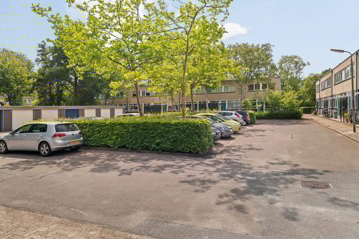 Foto 34 van de Hooidollen 87