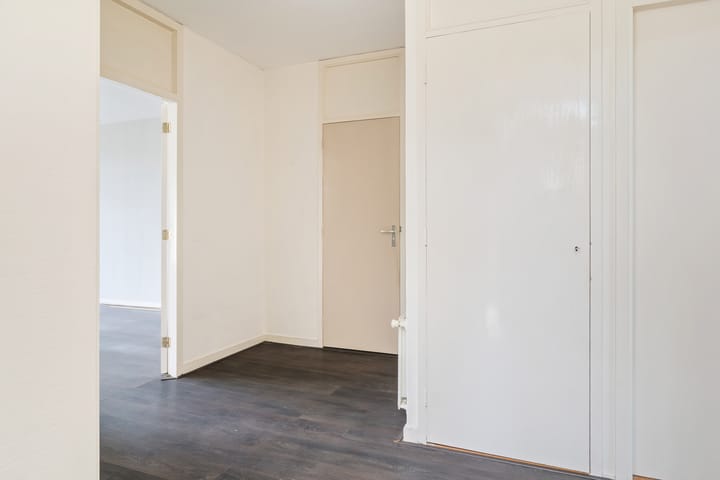 Foto 11 van de Hooidollen 87