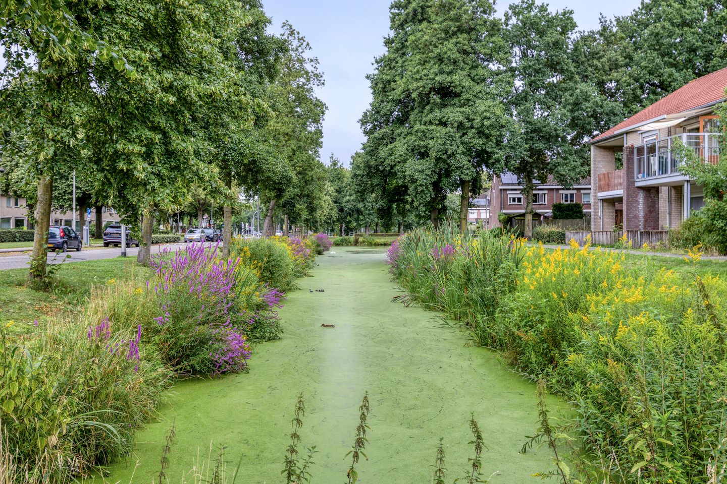 Foto 25 van Verdistraat 5