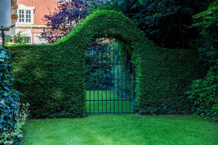 Photo 43 of Kortenaerstraat 7