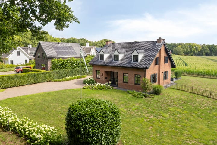 Foto 39 van Langstraat 3