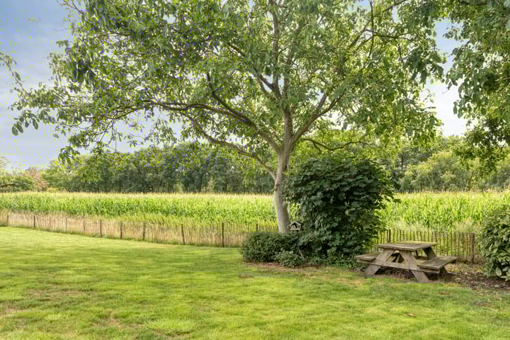 Foto 47 van Langstraat 3