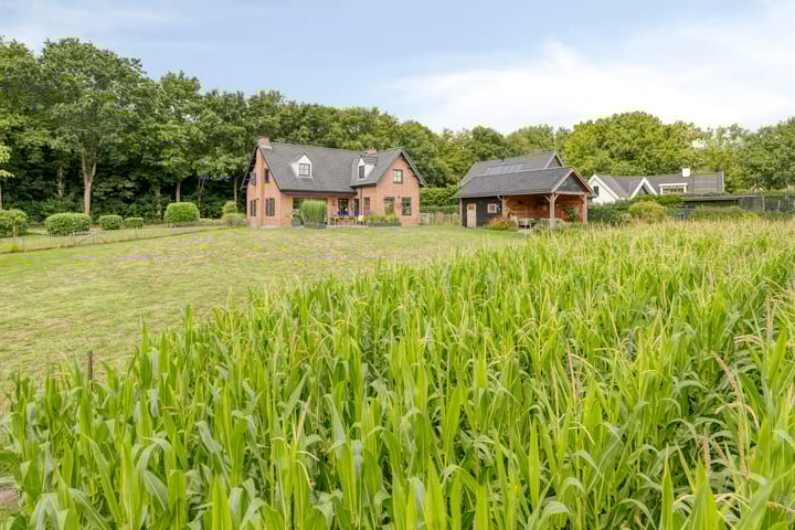 Foto 51 van Langstraat 3