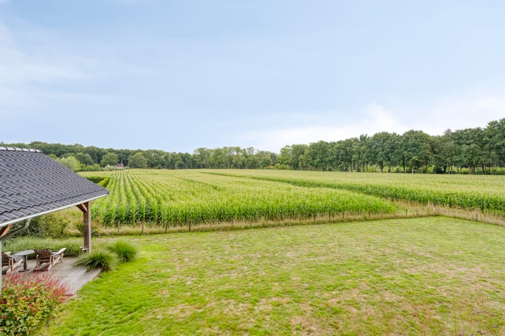 Foto 52 van Langstraat 3