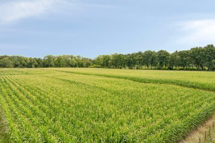 Foto 53 van Langstraat 3