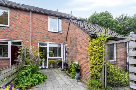 undefined main image